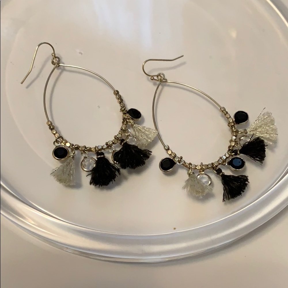 Loft Fringe Earrings